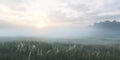 Foggy morning at sunrise in grassfields in autumn Royalty Free Stock Photo