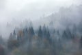 Foggy morning. Sunrise. Landscape with high mountains. Forest of the pine trees. The early morning mist. Touristic place. Natural Royalty Free Stock Photo