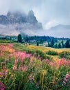 Foggy morning view of Pista Lagazuoi mountain peak from Falzarego pass. Picturesque summer scene of Dolomiti Alps Royalty Free Stock Photo