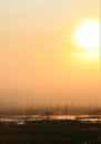 Foggy morning at the wetland at Powell Marsh Wildlife Area in Wisconsin. fog and light make for a subtle photo Royalty Free Stock Photo