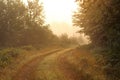 Foggy morning at the wetland at Powell Marsh Wildlife Area in Wisconsin. fog and light make for a subtle photo Royalty Free Stock Photo