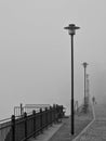 Foggy morning, woman walking with dog on the quay of Danube River in Passau, Bavaria, Germany. The mysterious cobblestone street Royalty Free Stock Photo