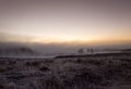 cold and foggy morning at Yellowstone Park with nobody around