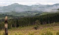 Foggy Mountain Clearcut Logging Effect Tree Stumps Deforestation Royalty Free Stock Photo