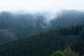 Foggy mountain and forest landscape with the best mystic atmosphere.
