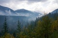 Foggy mountain landscape in the national park, Canada road trip in fall Royalty Free Stock Photo