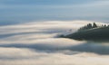 Foggy mountain landscape, Hill with fir trees in fog clouds Royalty Free Stock Photo