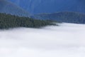 Foggy mountain landscape Royalty Free Stock Photo