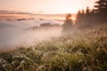 Foggy mountain morning