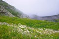 Foggy mountain road