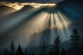 foggy mountain sunrise, with rays of sunlight breaking through the mist Royalty Free Stock Photo