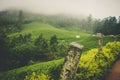 A foggy mountain view with beautiful greenary