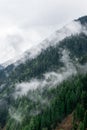 Foggy mountainside in Kashmir Royalty Free Stock Photo