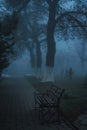 foggy mystic alley with bench in park with fog mist in the morning in autumn Royalty Free Stock Photo