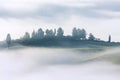 Foggy mystical landscape - trees and hills in fog