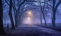 Foggy night park. Mysterious alley background. For banner, postcard, book illustration Created with generative AI tools Royalty Free Stock Photo