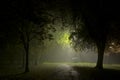 Foggy night it town Manchester England Europe Royalty Free Stock Photo