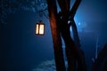 Foggy night yard with bright light on background. lantern hanging on the tree