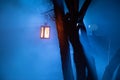 Foggy night yard with bright light on background. lantern hanging on the tree