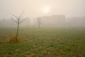 Foggy November day in Lithuania,city Siauliai Royalty Free Stock Photo