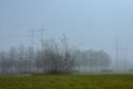 Foggy November day in Lithuania,city Siauliai