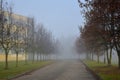 Foggy November day in Lithuania,city Siauliai
