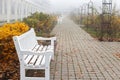 Foggy November day in a park Royalty Free Stock Photo