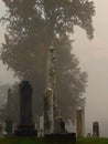 Foggy Old Graveyard in Autumn Royalty Free Stock Photo