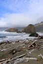 Foggy Oregon Coast with driftwood and rocks