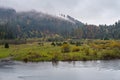 Foggy and overcast autumn day in Carpathian Mountains. Rika river bend, Transcarpathia, Ukraine Royalty Free Stock Photo