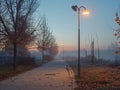 Foggy Park Pathway with Streetlights at Dawn Royalty Free Stock Photo