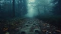 Foggy path through a dark eerie forest