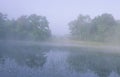 Foggy Pond