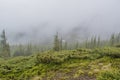 Foggy raining day at the mountains Royalty Free Stock Photo