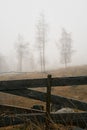 Foggy and rainy day in November. Toten, Norway.