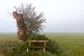 Foggy resting place at Paar river in autumn