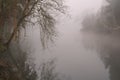 Foggy river at dawn Royalty Free Stock Photo