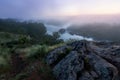 Foggy river morning Royalty Free Stock Photo