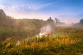 Foggy river in the morning. Summer misty sunrise on the river Royalty Free Stock Photo