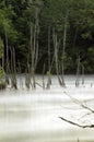 Foggy river at norris dam tennessee