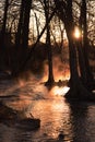 Foggy River Sunrise Royalty Free Stock Photo