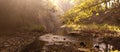 Foggy Riverside near Borobudur Temple