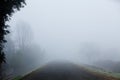 Foggy Road Royalty Free Stock Photo