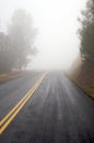 Foggy Road