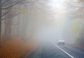 Foggy road Royalty Free Stock Photo