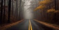 Foggy road in the autumn forest with yellow trees and fog