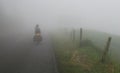 Foggy Road Cyclist Royalty Free Stock Photo