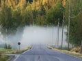 Foggy road, danger ahead