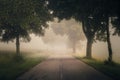 Foggy road in the dark, misty forest at late autumn. Wesather, nature background concept Royalty Free Stock Photo