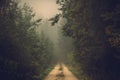 Foggy road in the dark, misty forest at late autumn. Wesather, nature background concept Royalty Free Stock Photo